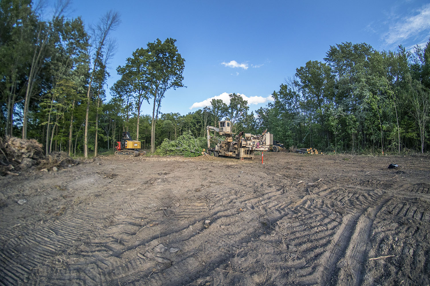 Land Clearing LG Evans