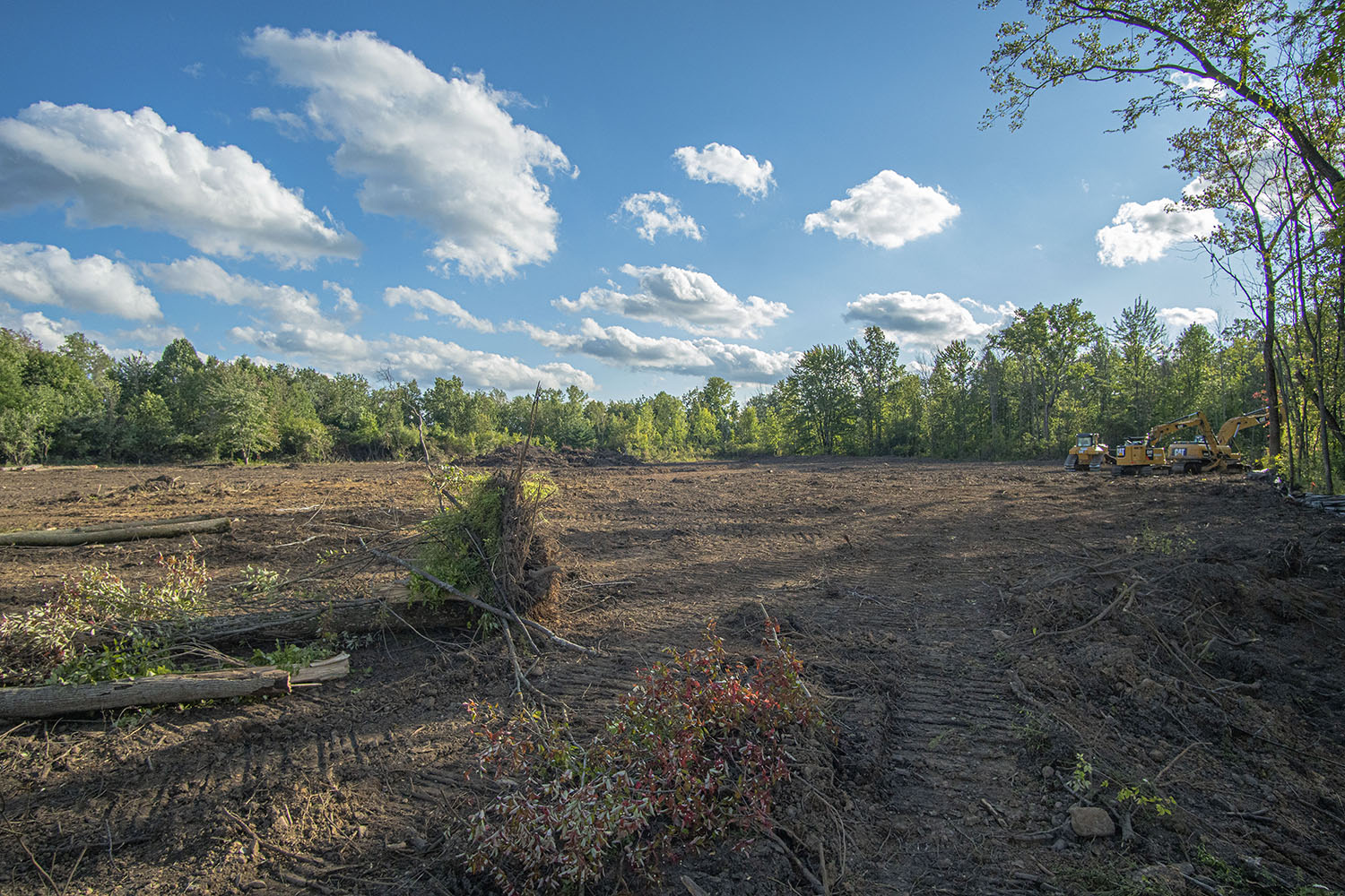 Land Clearing LG Evans